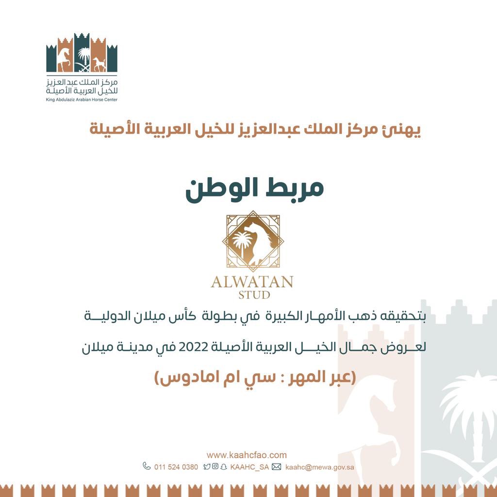 مربط الوطن يتقلد الذهب الدولي في بطولة كأس ميلان الدولية لعروض جمال الخيل العربية الأصيلة ٢٠٢٢م