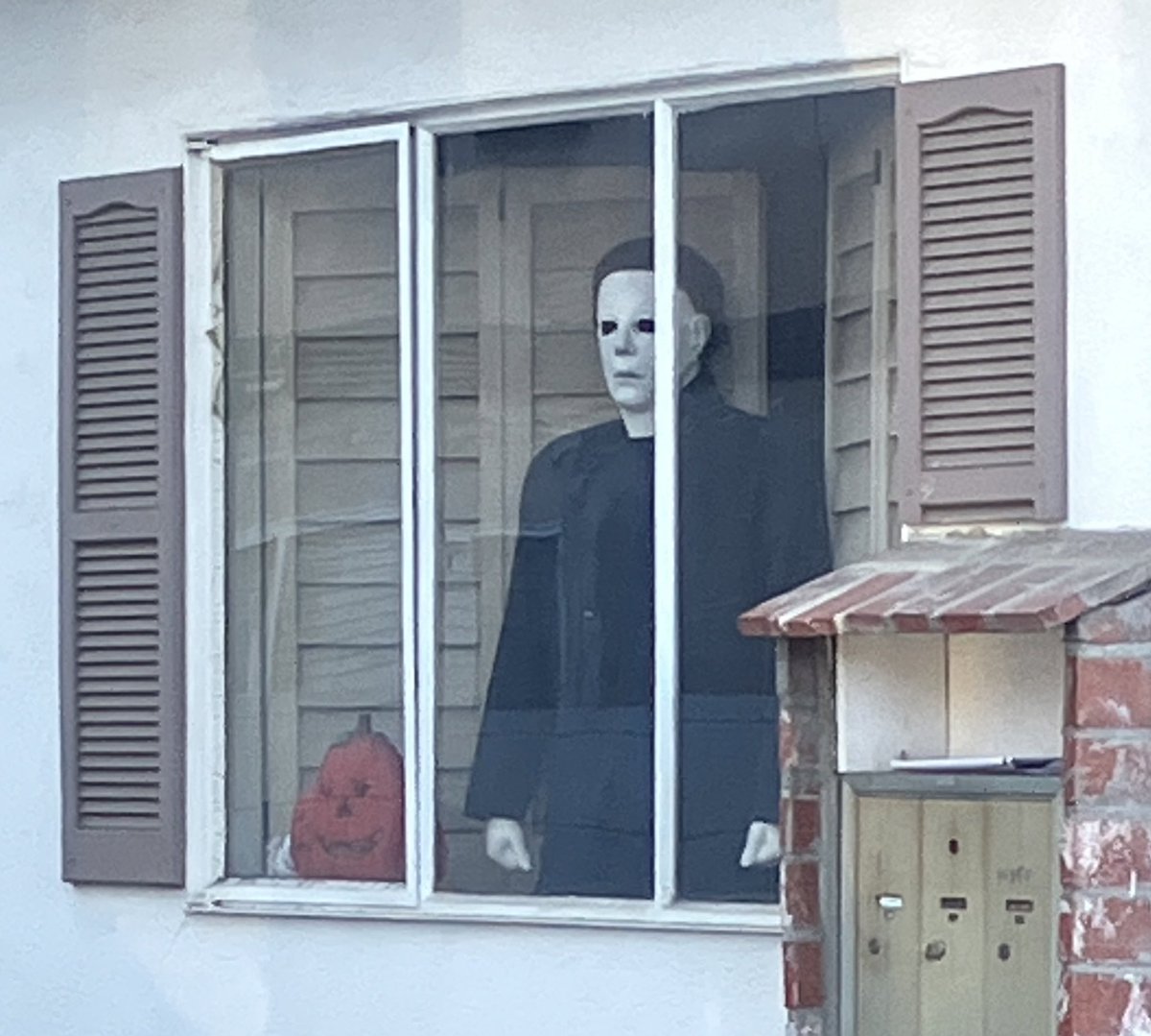 DruBrock's tweet photo. Hats off to these legends for frightening my child on the way to school. This is how it’s done, people. https://t.co/CTWrIoRjuV