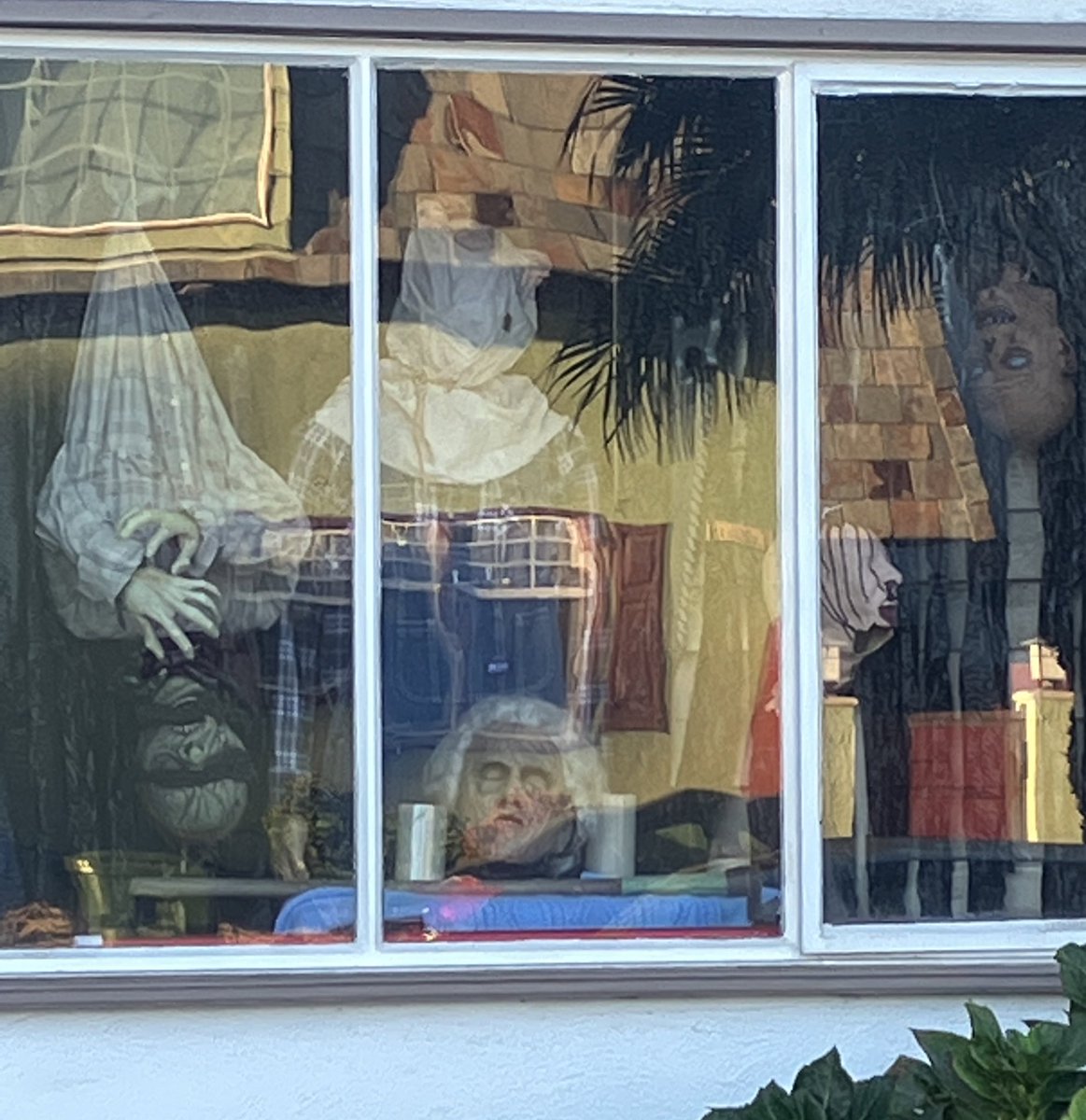 DruBrock's tweet photo. Hats off to these legends for frightening my child on the way to school. This is how it’s done, people. https://t.co/CTWrIoRjuV