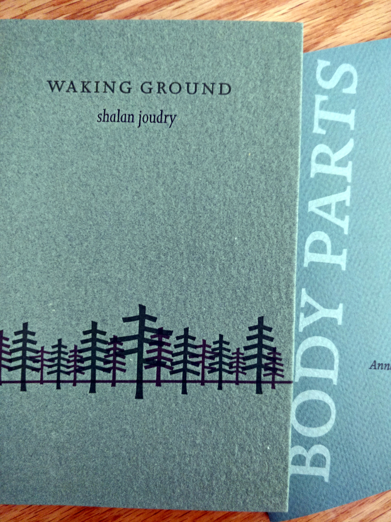 Understorey Magazine tweet media