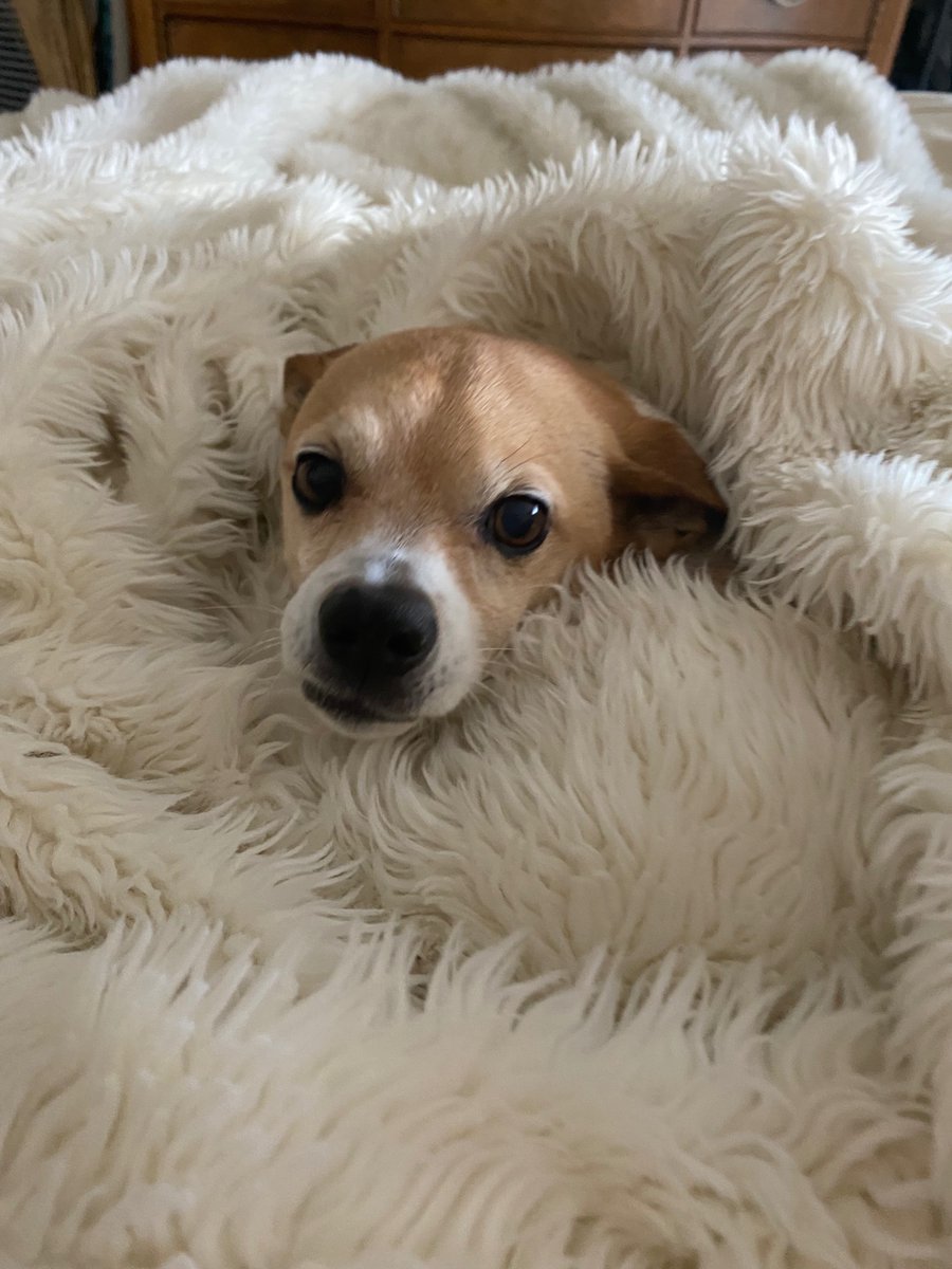 FeliciaMADT's tweet photo. #MADT307 my favorite little guy! https://t.co/t8OAD8a6iw