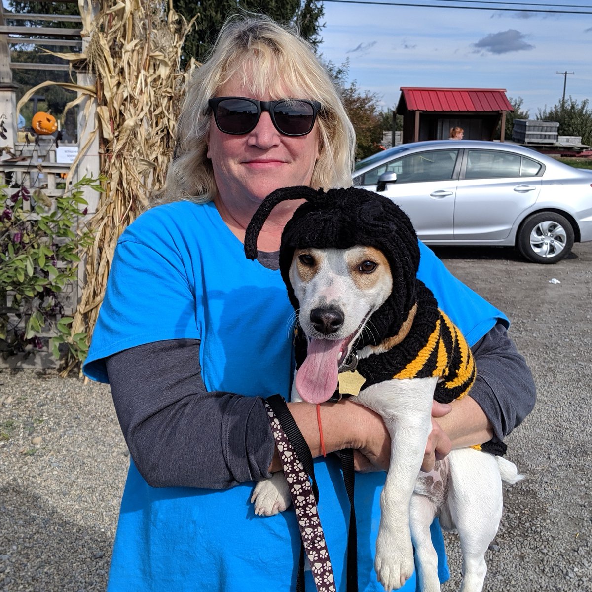 Indianladderfarmsciderybrewery tweet media