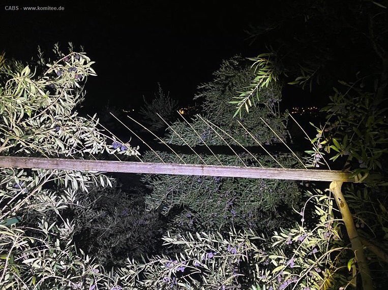 CABS_REPORTS's tweet photo. โ ๏ธ Anti-poaching operations against bird trapping with #limesticks in #Spain: we have already led the @guardiacivil to convict 10 bird trappers. 450 limesticks, 9 mist nets, 80 live traps & dozens of dead thrushes seized from the poachers. Read more ๐ https://t.co/7sFMrwNsDS https://t.co/ctqvxChbM9