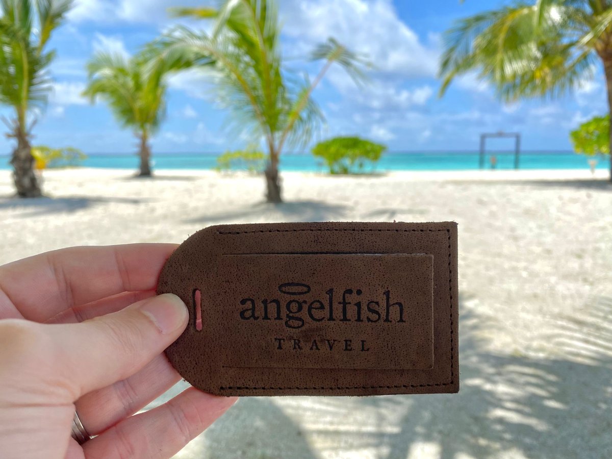 Angelfish Travel tweet media