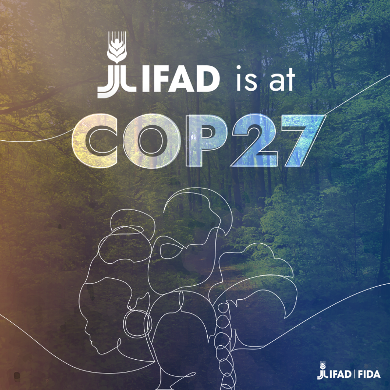 IFAD's tweet photo. #COP27 is our chance to get #TogetherForImplementation and take 𝗕𝗢𝗟𝗗 actions against the climate crisis.

@IFAD will be there to make sure #RuralVoices are being heard. 📣 

Will you join us?