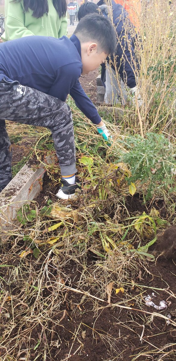 We're back! Eco reps did a great job weeding the raised gardens.