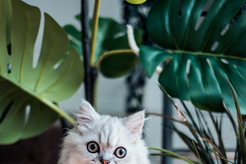 Fabulous&Style tweet media