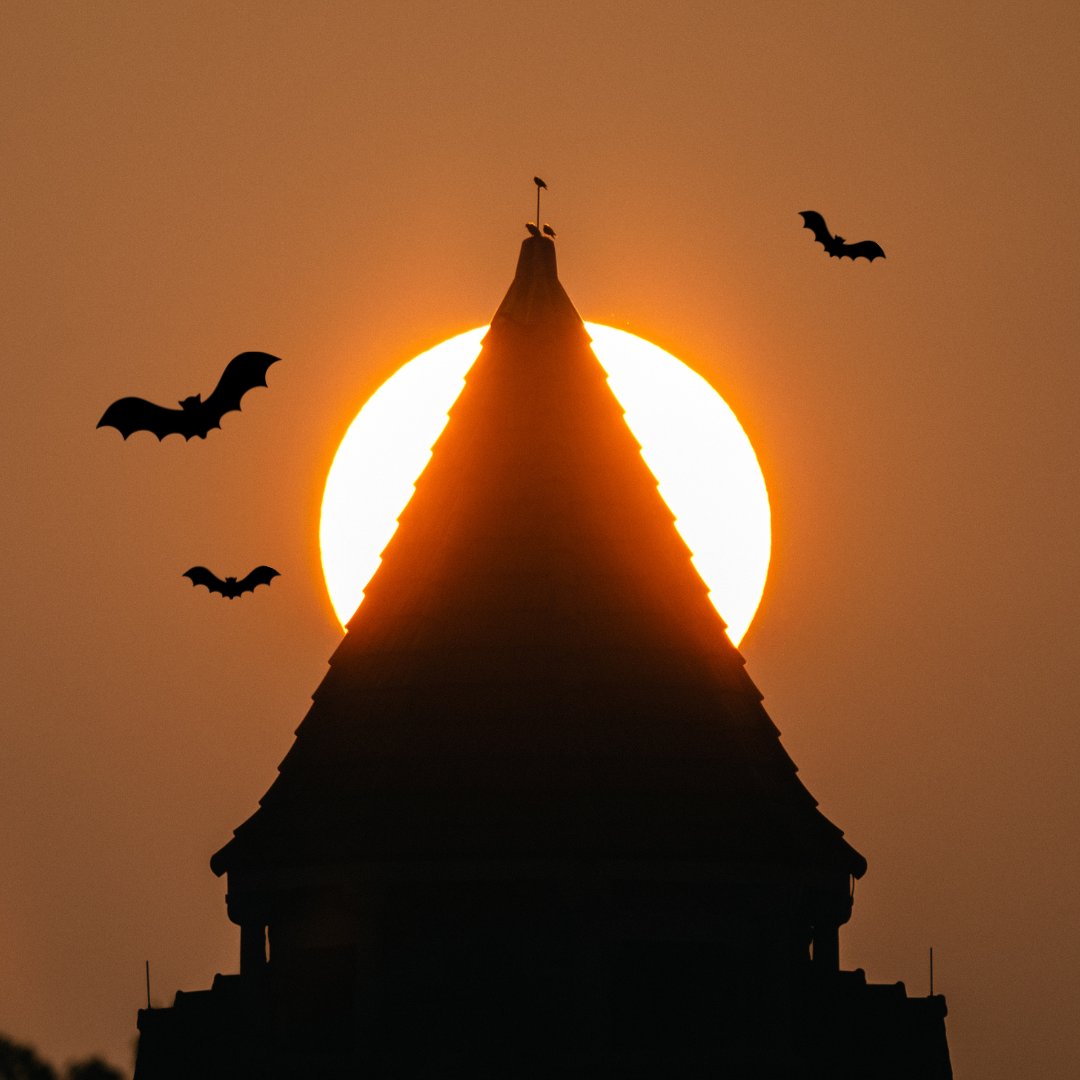 KUStuAffairs's tweet photo. The KU Student Affairs staff wish you a happy Halloween! ๐ฆ
Be careful around campus tonight, we've heard there may be some ghouls about! ๐ป
#wemakelearningpossible #studentaffairs #halloween https://t.co/XTDgzDQmuP