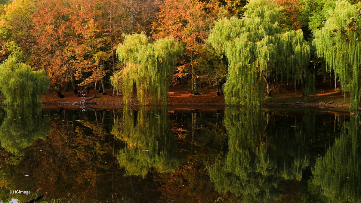 HGimage_'s tweet photo. Reflection 

#polska #poland #autumn #colors https://t.co/W127vddTfL