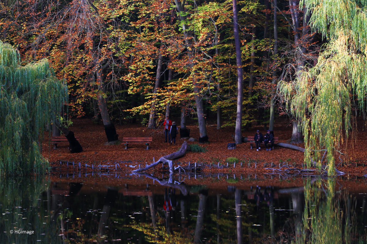 HGimage_'s tweet photo. Reflection 

#polska #poland #autumn #colors https://t.co/W127vddTfL
