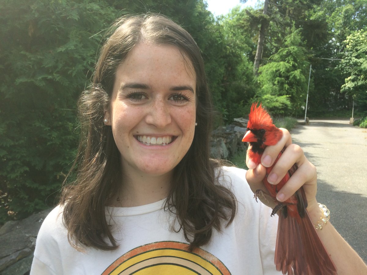 For this week's edition of #MeettheScientist, we're featuring DCE Riddiford Award nominee Ursula Beattie <a href="/ursulakbeattie/">Ursula Beattie, Ph.D.</a>! Ursula is a Ph.D. student in <a href="/Tufts_Biology/">Tufts Biology Department</a>, where she studies the impacts of chronic stress intensity on the health of wild house sparrows!🐦🤒🧪