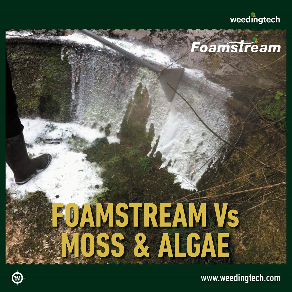 WeedingTech's tweet photo. Foamstream can we used on moss and algae in any season and in any weather. It completely eradicates the plant with just one treatment per year. 

#Foamstream #HerbicideFree #Organic #MossAndAlgae #Moss #Algae #Municipalities #WeedKiller #WeedControl #Weedingtech #Municipalities https://t.co/XrQnqhbEil