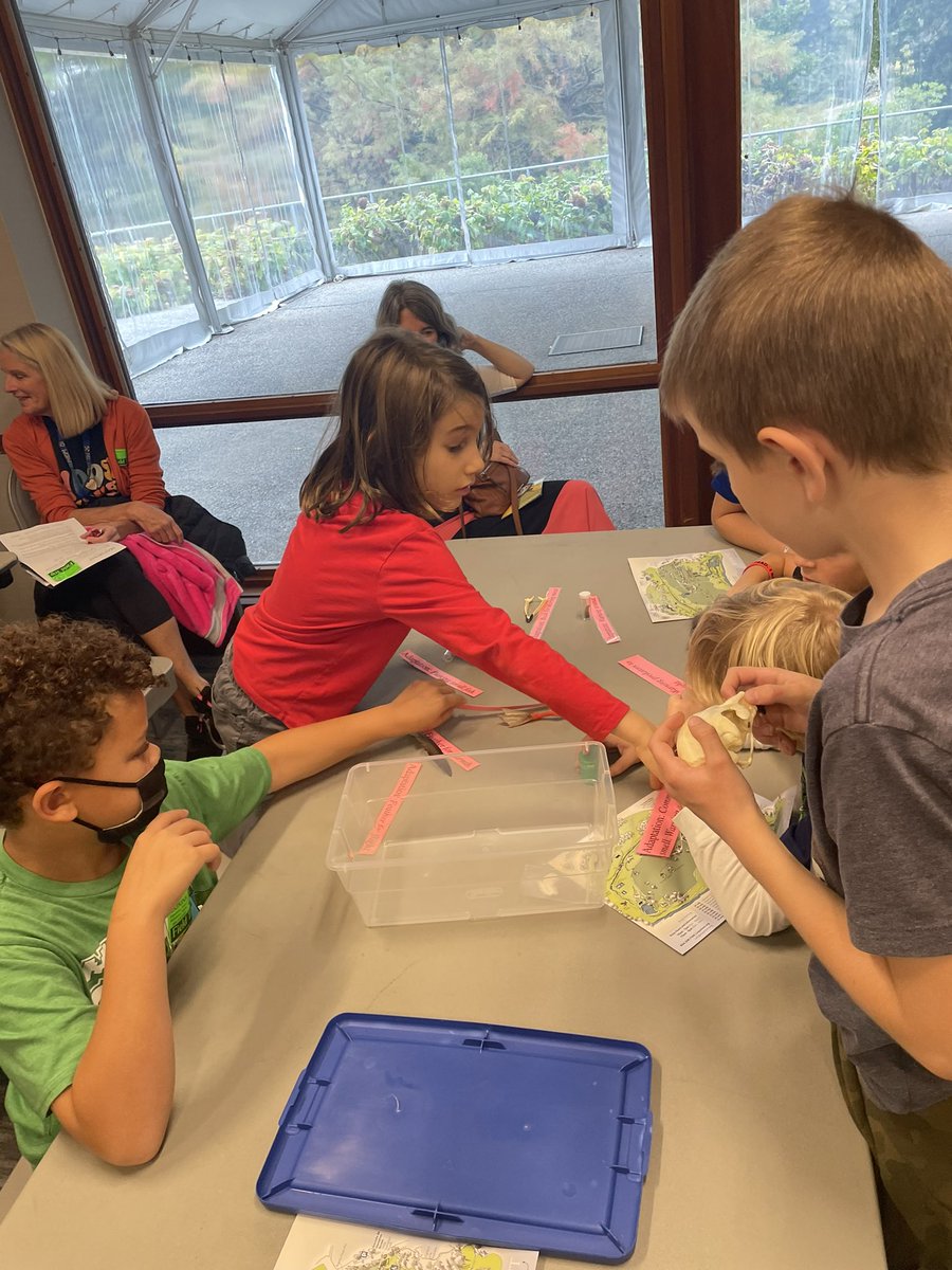 Rae Clune tweet media