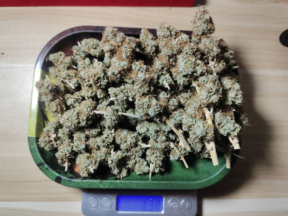 CCT MisterThree tweet media