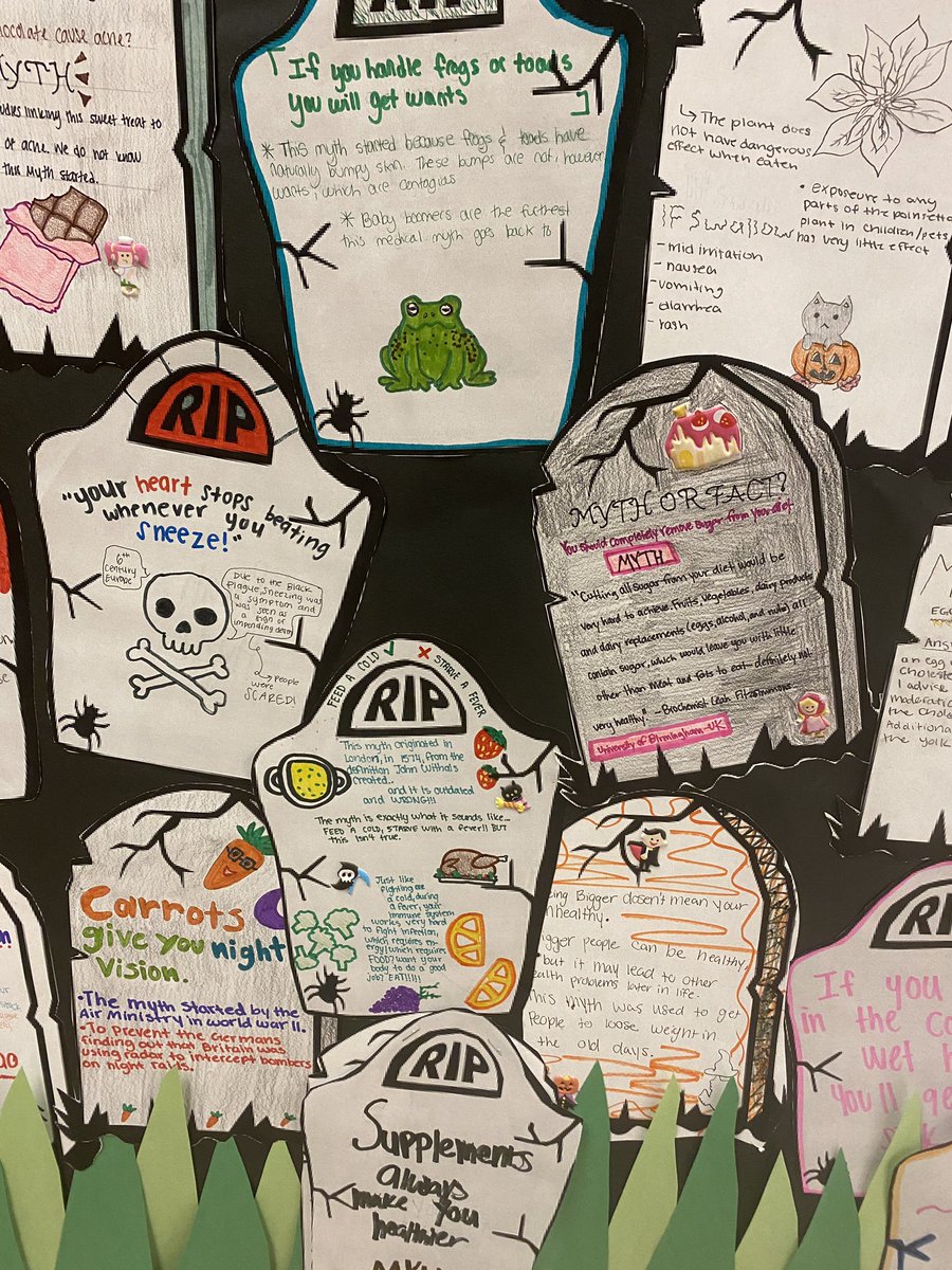 AlliSony1616's tweet photo. Practicum 2 health science students debunked some popular medical myths. Pep Rally schedules make for fun learning days. @RISD_CTE @RISD_Healthcare https://t.co/PPRPdoooiJ
