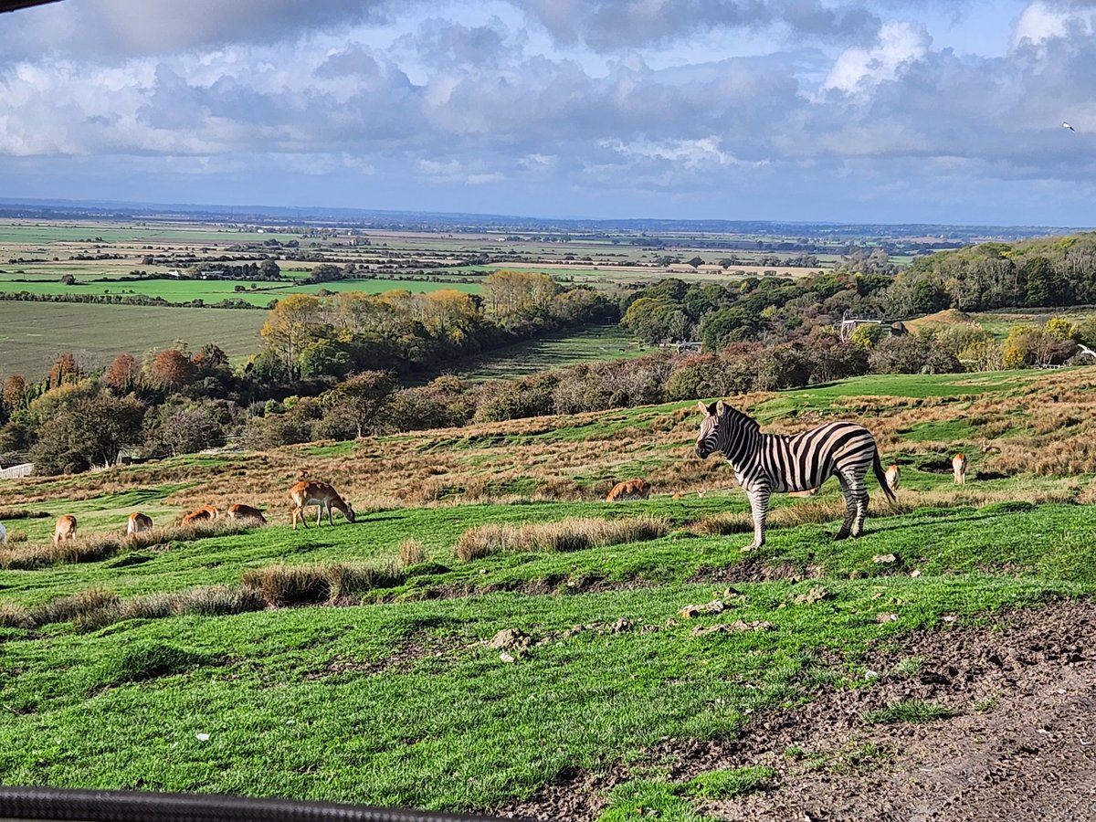 Max Dighton @maxd80@mastodonapp.uk tweet media