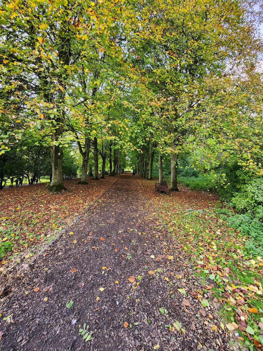 Max Dighton @maxd80@mastodonapp.uk tweet media