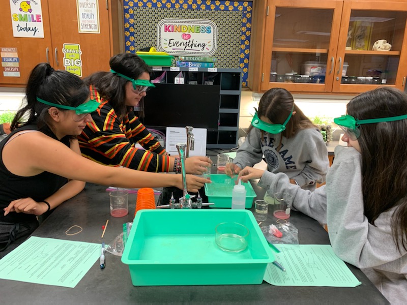 Biology students extract DNA from raspberries.  #WeAreLT