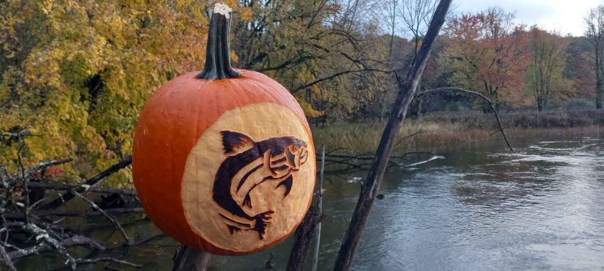 Fish are always on our mind... even when carving a pumpkin. Thank you to one of the fisheries folks for letting us showcase their carving. #MiDNR #Fishing