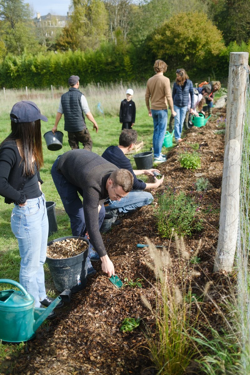 guerlain_nft's tweet photo. Last Sunday during their visit of La Vallée de la Millière 
each #CryptoBee holder contributed to planting a new hedge surrounding the "Jardin des Partages" whilst learning more about the importance of preserving nature and biodiversity. https://t.co/H6iAEUhsIi