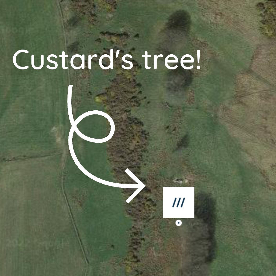 Custard (@custarduk) on Twitter photo Huge thanks to <a href="/brightonseo/">brightonSEO</a>, who gave us the opportunity to have a tree planted in collaboration with
<a href="/treesnottees/">Trees not Tees 🌳</a>🌳❤️ There's now a lovely new sapling growing in Ayrshire, Scotland 😁 What a great cause! #brightonseo #treesnottees Huge thanks to <a href="/brightonseo/">brightonSEO</a>, who gave us the opportunity to have a tree planted in collaboration with
<a href="/treesnottees/">Trees not Tees 🌳</a>🌳❤️ There's now a lovely new sapling growing in Ayrshire, Scotland 😁 What a great cause! #brightonseo #treesnottees