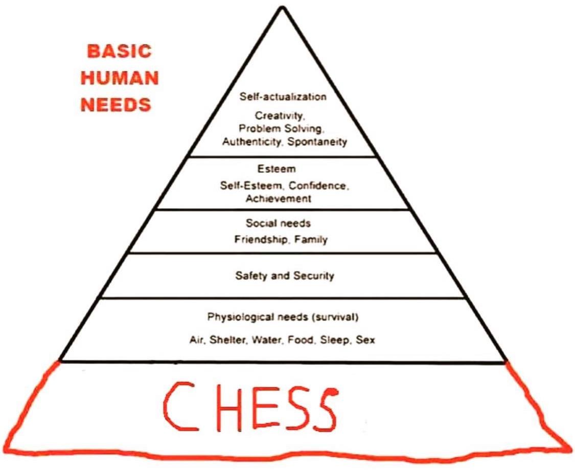 lichess's tweet photo. What do you need?😂
#Chess players: https://t.co/RV4mZtJ675
