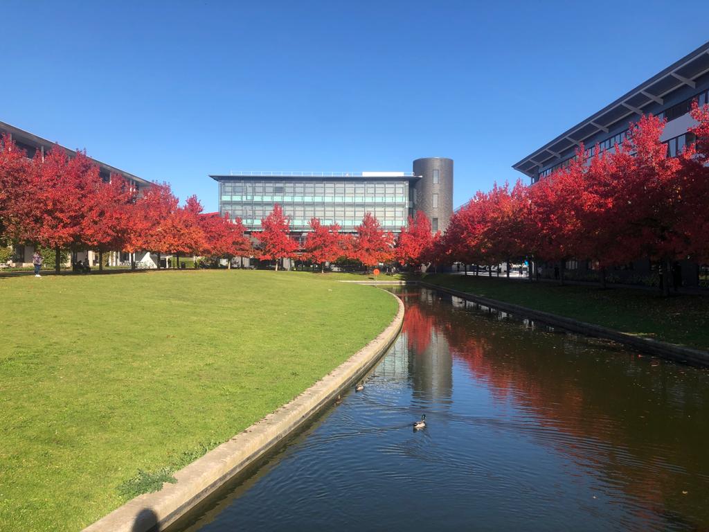 The colours of autumn @warwickuni 🍂🍁😍 @wmgwarwick #warwickuni #warwickautumn #warwickcampus #studyuk