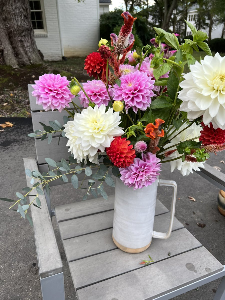oldtownbooks's tweet photo. @IamRageSparkle Dahlia breeding. These are all existing varieties, but I found an open pollinated variety in my test seedlings this year that I really love. Fingers crossed it replicates next season and is healthy, robust. The best sunset, peachy color. https://t.co/QQu6rIz6Rx