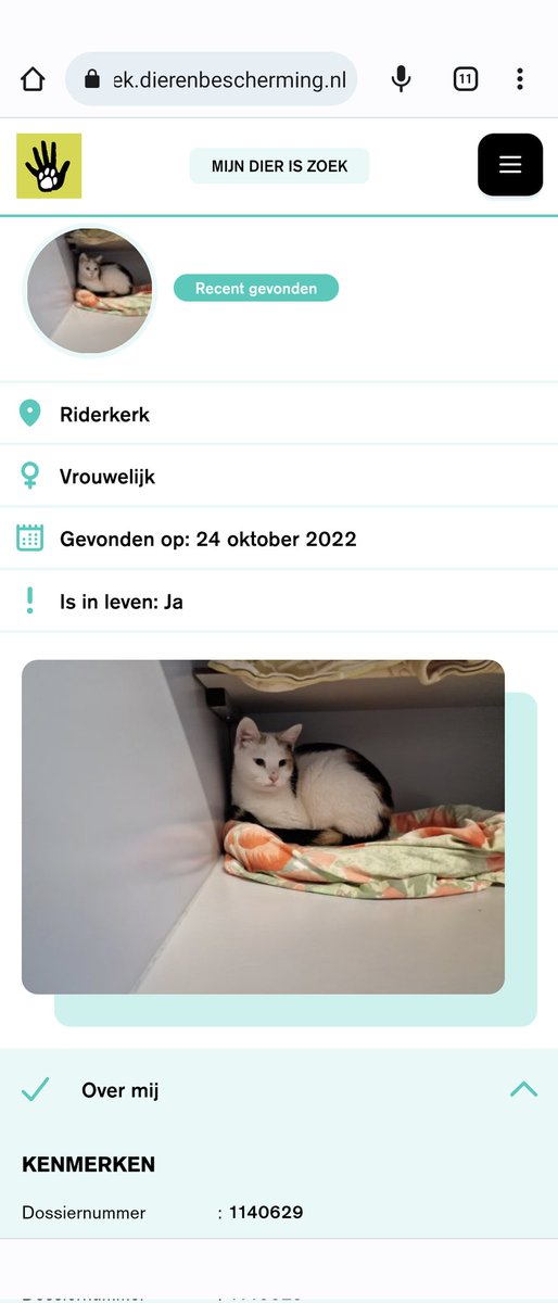 Dit lieverdje is gisteren gevonden in Ridderkerk centrum. Wie oh wie mist haar nu?

#katgevonden #ridderkerk #huisdiervermist #katvermist