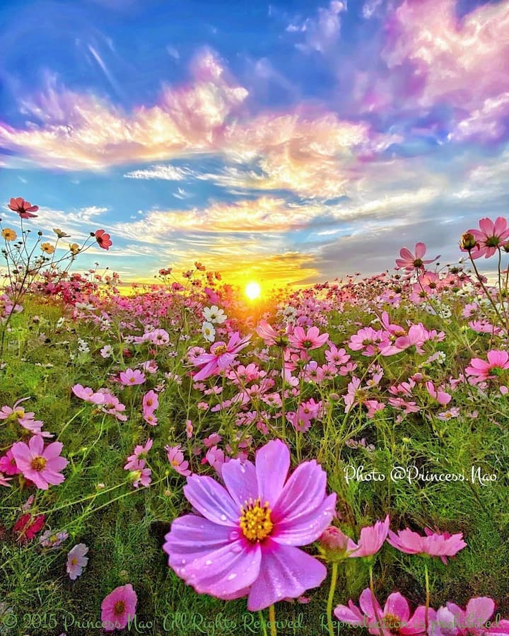 osalgado999's tweet photo. ¡Buenos días!
¡Feliz Martes!
Regálate a ti mismo ideas positivas para hoy, convéncete que todo va a salir bien, lucha por lo que quieres y verás que vale la pena. https://t.co/4TcrQ96GBx