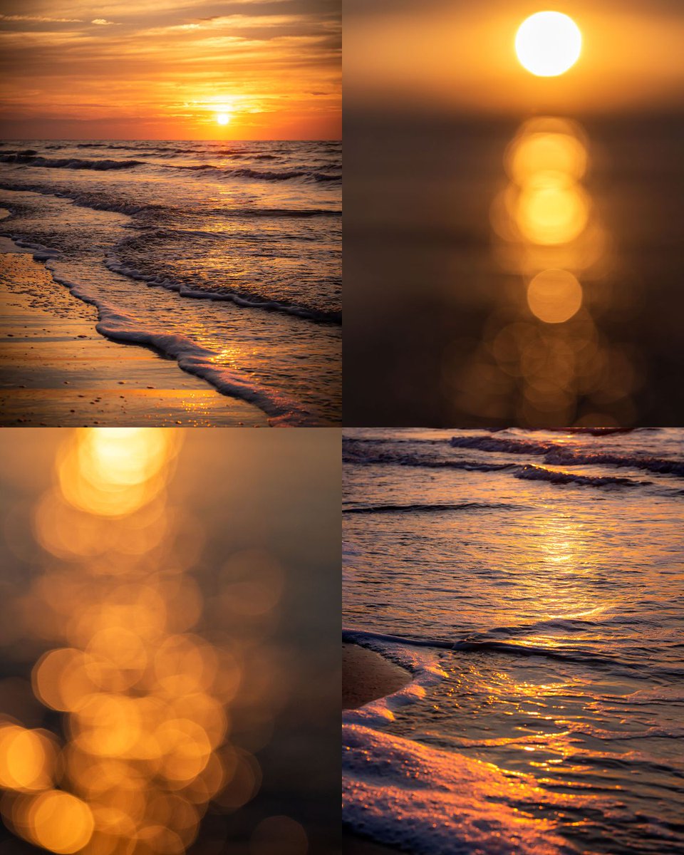 Happy orange Tuesday🧡! Those golden moments are unforgettable!