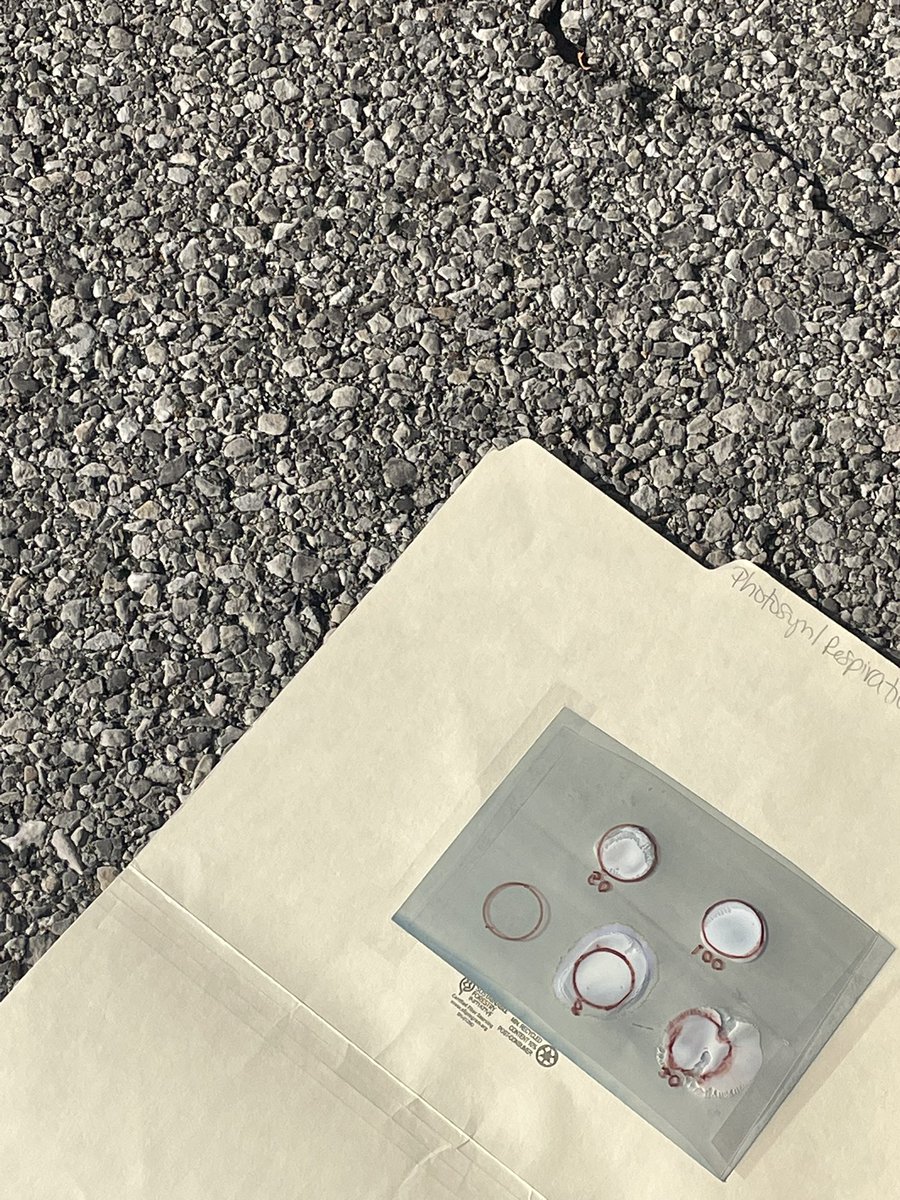 ClairBio's tweet photo. Exploring the effectiveness of sunscreen and the differences between varying SPF’s https://t.co/8ak8tlBePr
