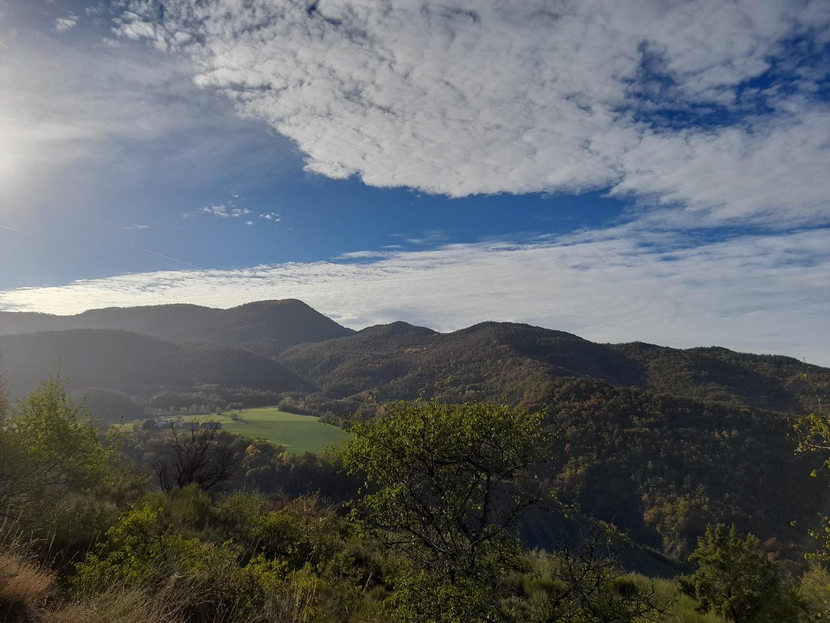 MeteoFrance_SE's tweet photo. Une journée dans les #HautesAlpes racontée par les #obsParticipatives 🥰
📍 La Freissinouse, Lagrand, Tallard, Sigoyer https://t.co/25AaFXYt3l