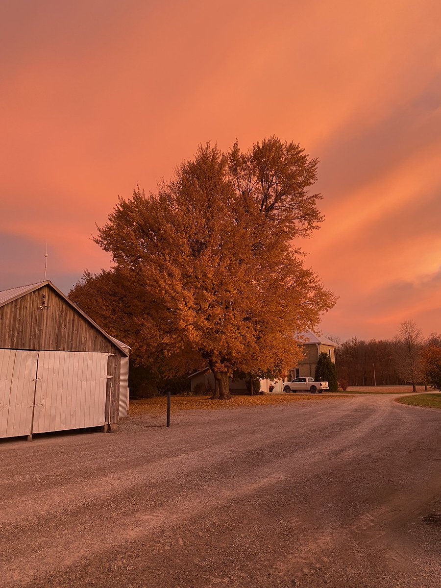 Jim Lumsden tweet media