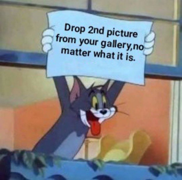 🍞Jacki🍞 tweet media