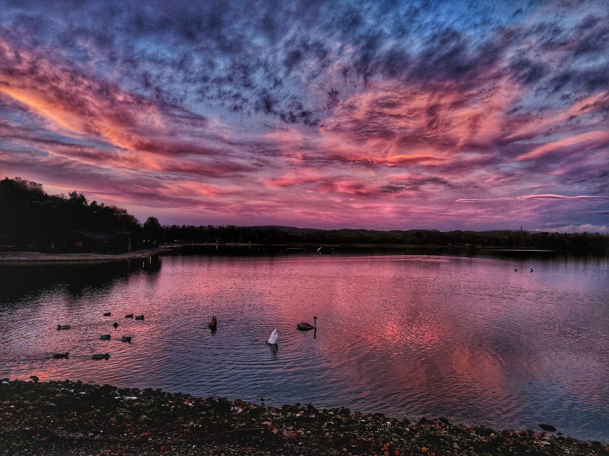 John Michael Davey tweet media