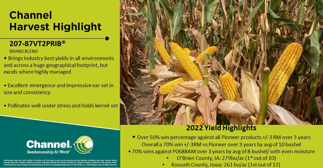 Andrew J. Sikora tweet media