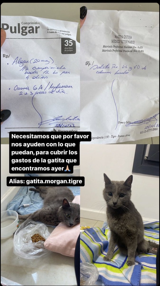 pilidiazgarcia's tweet photo. https://t.co/ERFm1yZP75