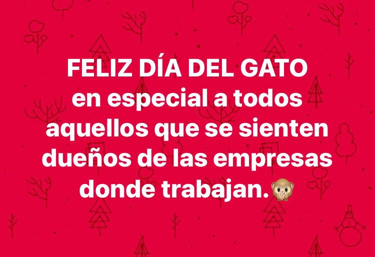 RobertoFGallo's tweet photo. Un poquito atrasado pero me encantó el meme y aprovecho la oportunidad para felicitarlos por el ÚNICO mérito que tienen, ¡SER UNOS GATOS!😂

#LaExPresi
#LadyEvadeImpuestos
#Fabiruchis
#LaOportunista
#Batman
#LordBecas https://t.co/TUHw1ufEEk