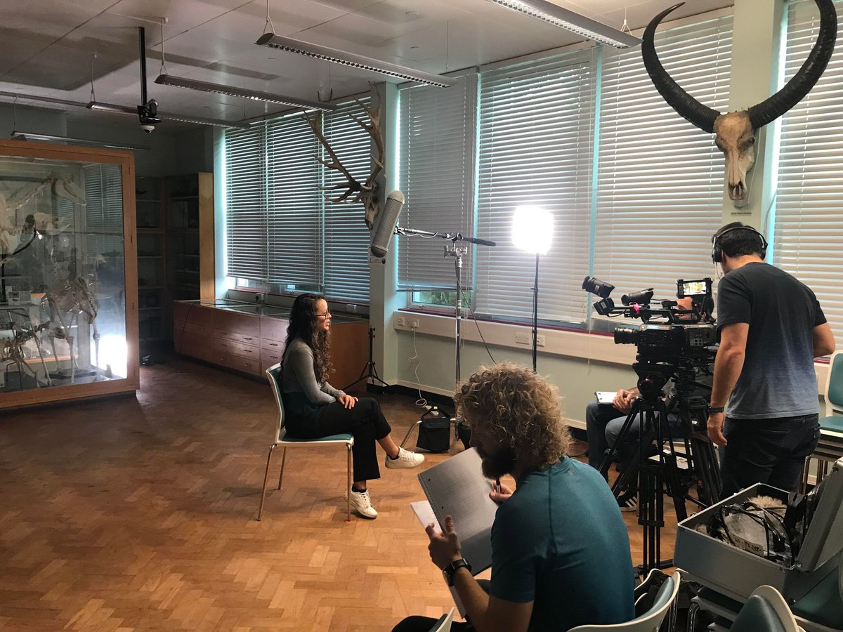 A day's shooting for group members <a href="/pimientoc/">Catalina Pimiento</a> and <a href="/CooperPalaeo/">Dr. Jack Cooper 🦈</a> for the upcoming <a href="/offthefence/">Off the Fence</a> series "Giants" talking #megalodon 🦈 Releasing 2023 #outreach <a href="/SwanseaUni/">Swansea University</a>