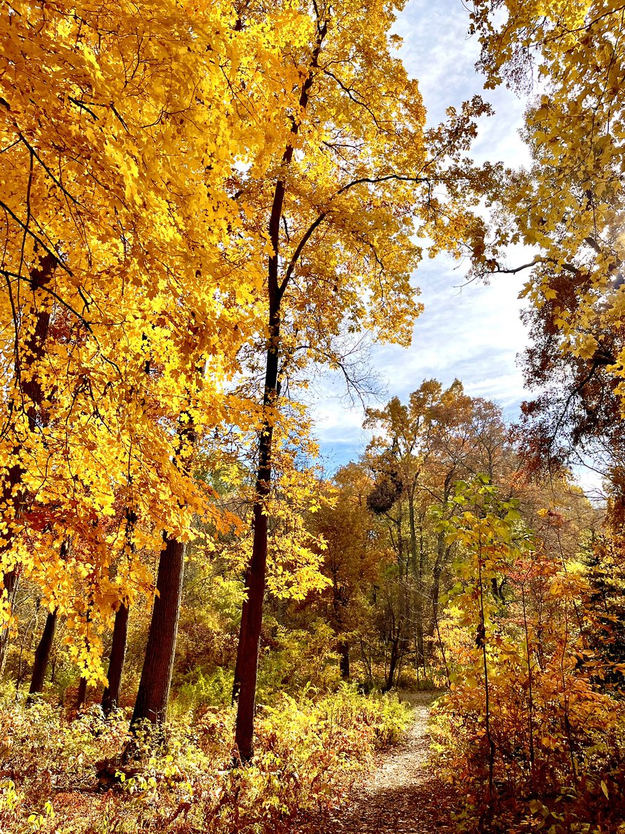 Justin B. Dimick tweet media