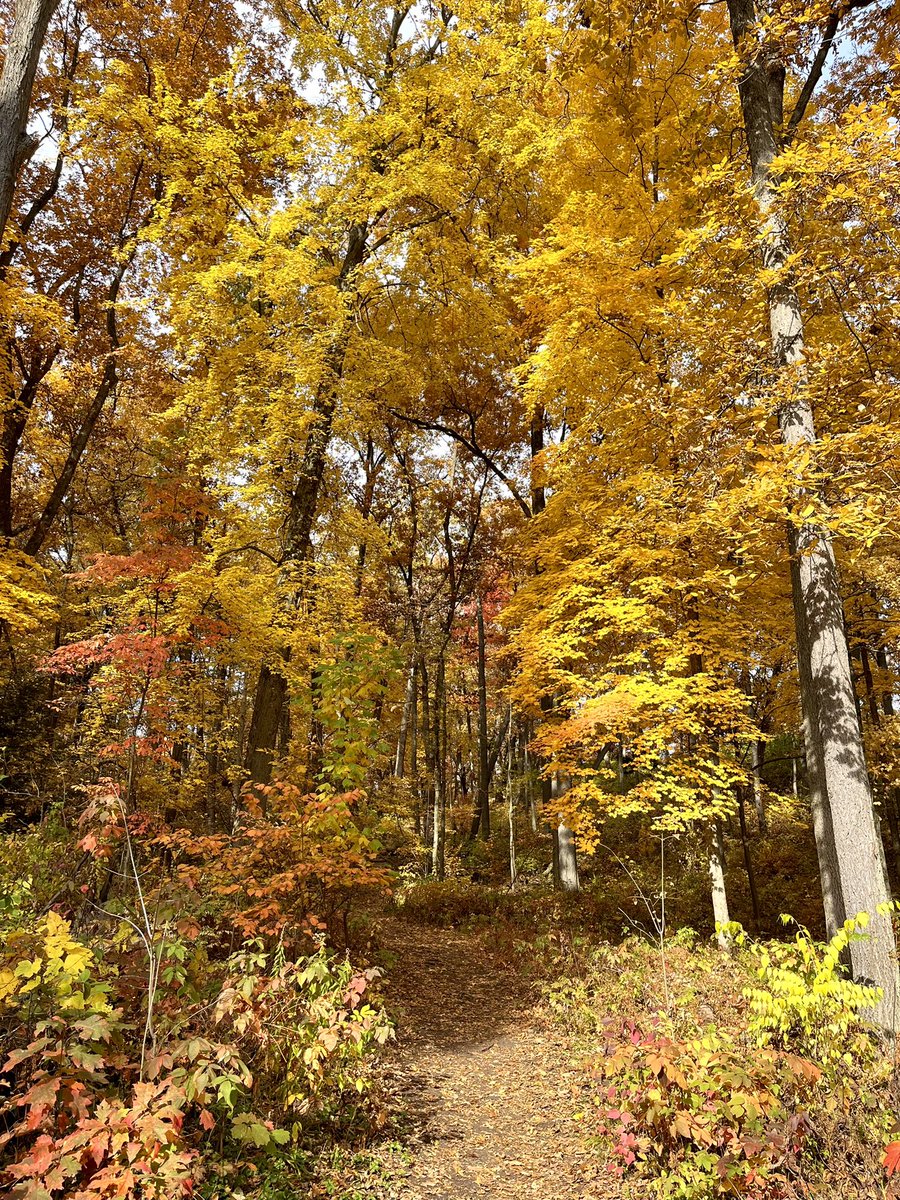 Justin B. Dimick tweet media