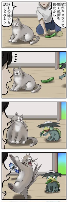 驚く猫。 