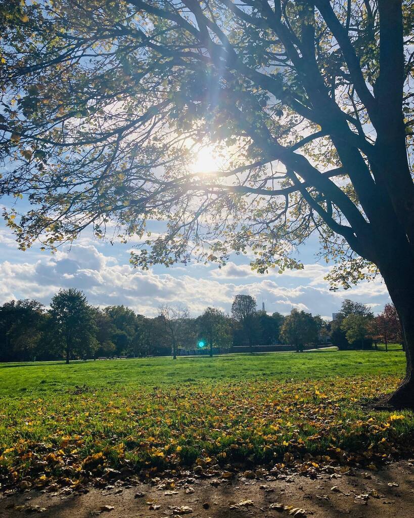wingertsdaily's tweet photo. Herbst im Günthersburgpark.

#ffm #frankfurt #frankfurtammain #igffm #igersfrankfurt #frankfurtdubistsowunderbar #herbst #sonne https://t.co/0nhj8UoDON