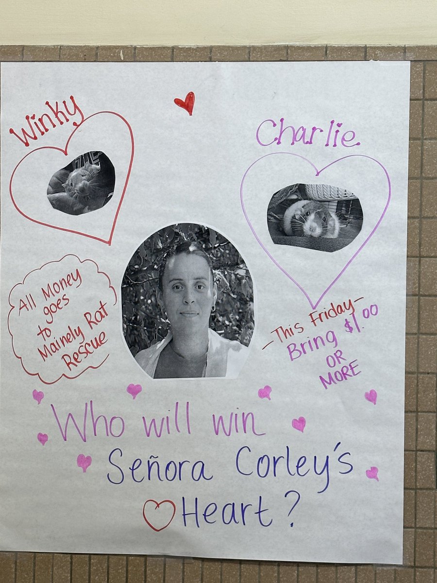 This Friday is a special dress down day ⁦<a href="/Community_Prep/">Community Preparatory School</a>⁩ All money raised goes to ⁦<a href="/MainelyRats/">Mainely Rat Rescue</a>⁩ Thanks for being such a great sport ⁦<a href="/nvanegasRI/">Natalia Vanegas Corley</a>⁩