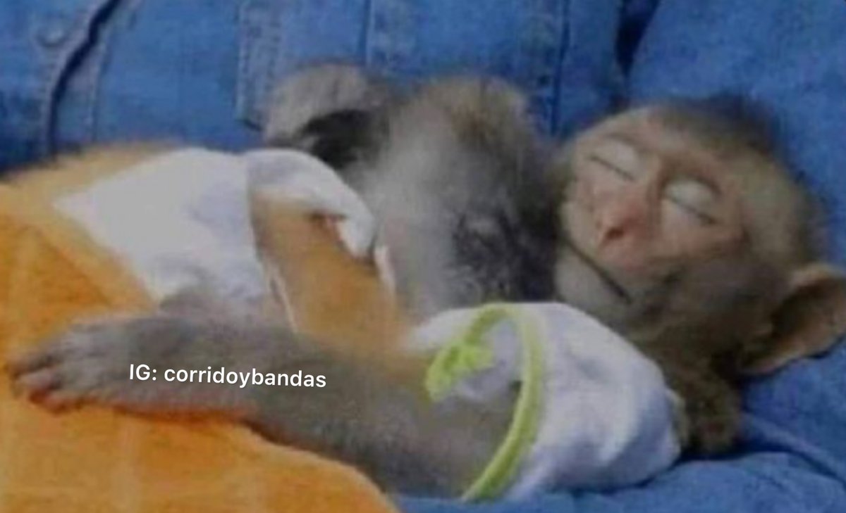 corridosybandas's tweet photo. Mi amorcito y yo durmiendo, después de casi romper la cama. https://t.co/qL1avVEyVY
