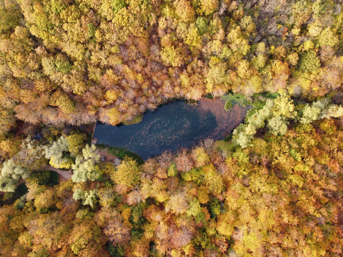 EuropeanSecret's tweet image. Lepote Srbije. Colors of #Serbia #autumn #seeserbia