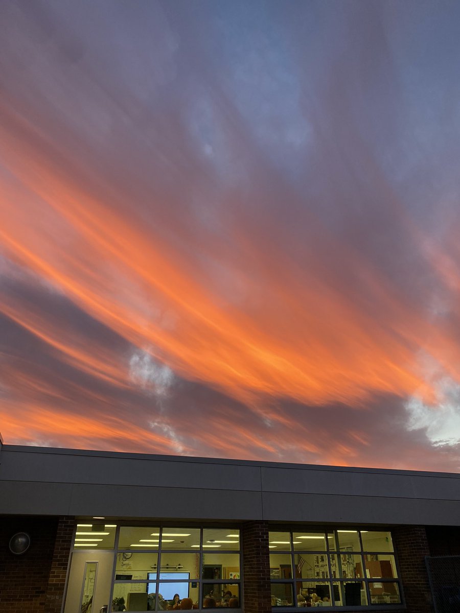 Amanda Frederick tweet media