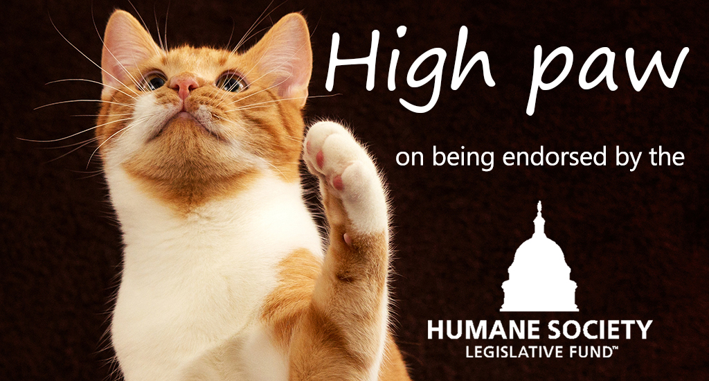 LevinforIowa's tweet photo. Honored to be endorsed by the Humane Society Leg Fund. Our responsibility to build a better Iowa includes how we treat animals in our homes and on our farms. We have to speak up for them. #Animalrights #HumaneHumans #ConsiderCompassion https://t.co/2MTM7EYxTU