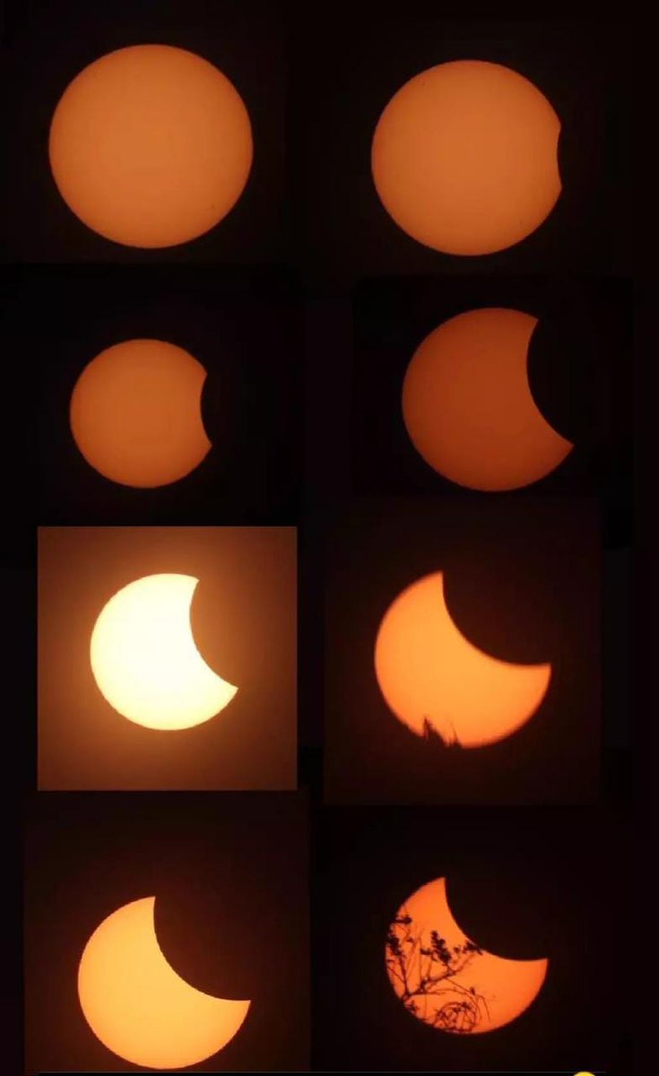 CscJunagadh's tweet photo. Today @CscJunagadh organized the Parsley #SolarEclipse viewing in which around 250 people watched the #Eclipse2022. The eclipse was watched through different instruments like #telescope,#sunfilter,#mirror,#pinhole, and #Camera.@InfoGujcost @dstGujarat @InfoGujarat @JunagadhGog https://t.co/Ko9BKYEEns